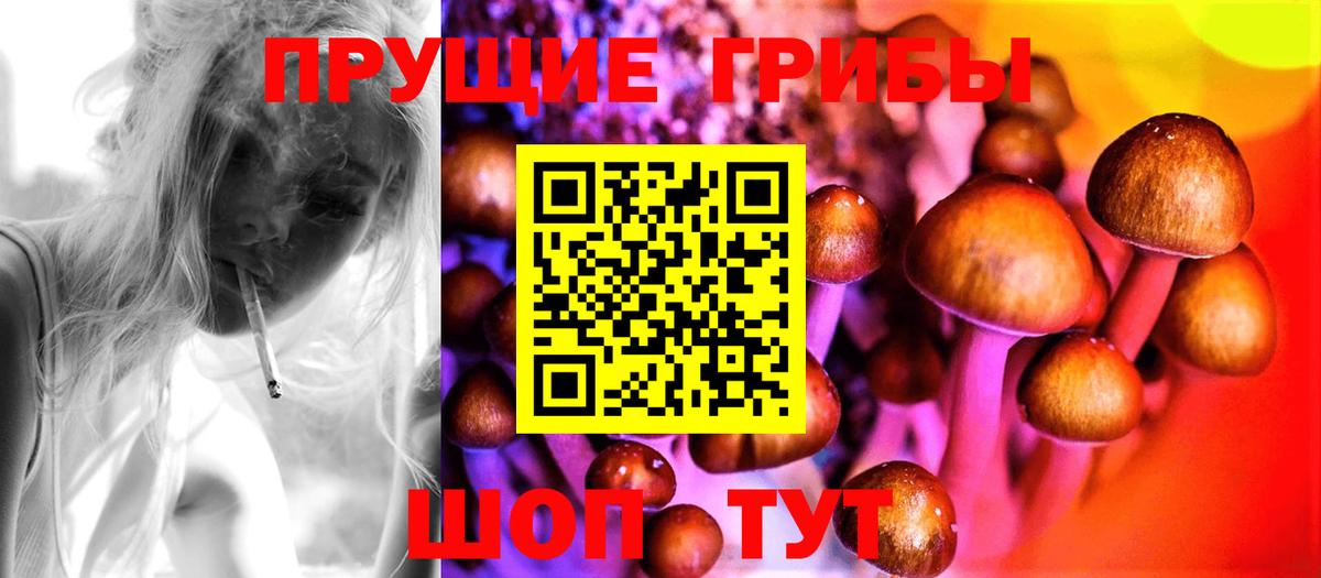 Советская Гавань  Псилоцибиновые грибы Psilocybine cubensis  Вход с VPN  Псилоцибиновые грибы мухоморы 